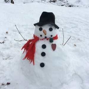 Meet your Posher, Suzanne